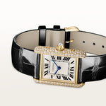Tannor Large model automatic mechanical movement | steel